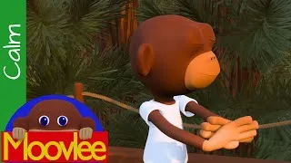 Thumbnail: Stand Breathe and Stretch 1