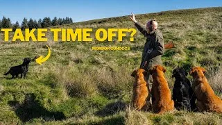 Thumbnail: What If You Take Time Off Training? Game Fair Q&A