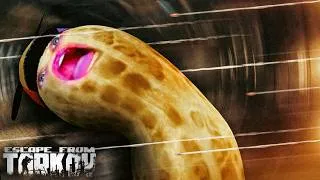 Thumbnail: The Best Movement Peanut In Tarkov