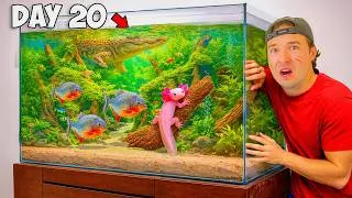 Thumbnail: 30 Days Building a Tiny Ecosystem (with predators)