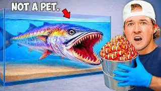 Thumbnail: Pet Barracuda vs 5 Levels of Fish...