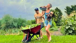 Thumbnail: The Harvests are POURING IN! (but there's a storm coming)