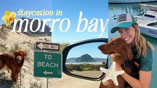 Thumbnail: A Cozy 24 hour Escape to Morro Bay, California