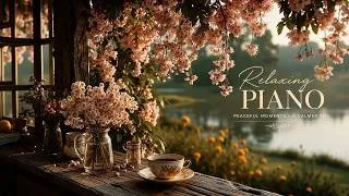 Thumbnail: Relaxing Piano Music | Soft Calm Piano for Study, Reading & Focus