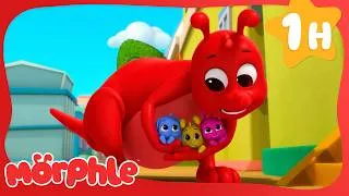 Thumbnail: Baby Morphles on the Ledge | Morphle's Magic Universe 🌌 | Adventure Cartoons for Kids