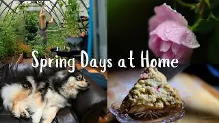 Thumbnail: Spend a Peaceful Afternoon with Me | Baking Rhubarb Scones & Gardening
