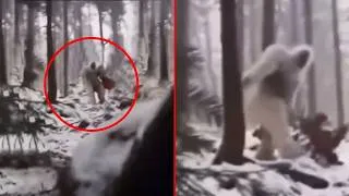Thumbnail: Mythical Creatures Caught on Camera That Might Actually Exist