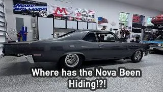 Thumbnail: Is Doug's Nova Making a Comeback!?!