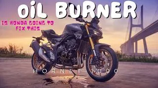 Thumbnail: The Truth About the Honda Hornet 1000 Oil Burning Issue