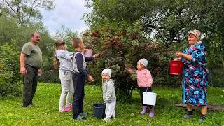 Thumbnail: Grandma’s Carpathian Cooking, Red Currant Juice & Grandpa’s Hay Tractor 🚜