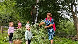 Thumbnail: Grandma’s Traditional Sorrel Borscht 🥣 | Grandpa Mows Hay & Grandchildren Come to Visit ❤️