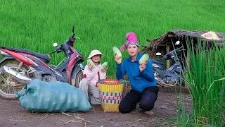 Thumbnail: Melon Season on the Mountain: Earning Money from Melons to Buy School Supplies for My Daughter