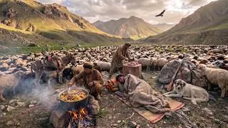 Thumbnail: Alone in the Mountains — The Real Life of Shepherds
