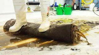 Thumbnail: A Diamond In The Rough? What Was Hiding Under All This Muck? Satisfying ASMR Carpet Cleaning.
