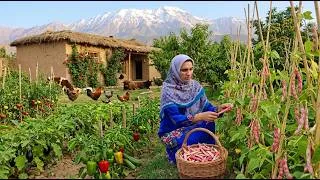 Thumbnail: IRAN Daily Village Life : Rural Cooking in the High Mountains of Northern Iran