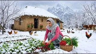 Thumbnail: IRAN Daily Village Life : Rural Cooking in the Coldest Mountain Village in Iran