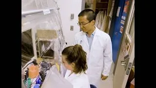 Thumbnail: Mount Sinai’s Center for Genomic AI and Microbiome Medicine: A New Era in Precision Medicine