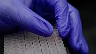 Thumbnail: Advancing Our Commitment to Care With AI: Realizing the Potential of Genomics