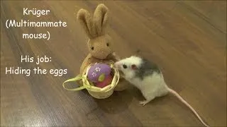 Thumbnail: Easter Bunny's Little Helpers