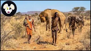 Thumbnail: Real Survival In Africa: How The Hadzabe Tribe Hunts Among Lions And Invasive Species