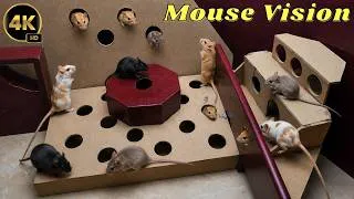 Thumbnail: Cat TV Mouse Maze 🐭 Real Mice Popping Out & Exploring Hidden Holes for Cats | 4K UHD