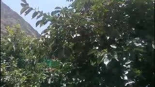 Thumbnail: Gilgit morning view