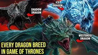 Thumbnail: All 11 Dragon Breeds in Game of Thrones BOOKS & HOTD Explained (Ice Dragons, Alien Dragons...)