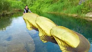 Thumbnail: 😱Open the shimmering giant clams, which are filled with precious golden pearls, extremely beautiful