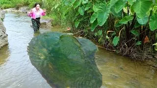 Thumbnail: 😱🎁A giant clam that has been growing for decades, nurturing astonishing and enchanting pearls inside