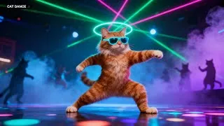 Thumbnail: Cat Dance Nightclub Party | DJ Music