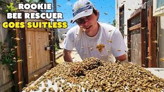 Thumbnail: Rookie Bee Rescuer Goes Suitless AND GETS STUNG