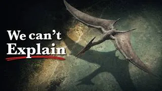 Thumbnail: The Largest Predator That Ever Flew - Doesn't Make Sense