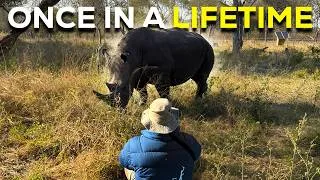 Thumbnail: I Went on My First African Safari and I Loved It