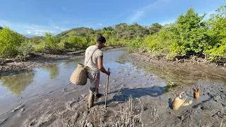 Thumbnail: Catching Many Huge Mud Crabs in the Swamp After Low Tide! | Fishing A Lot Of Sea Crabs