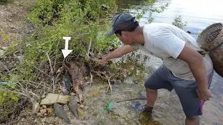 Thumbnail: Catching Many Huge Mud Crabs at Shore After Low Tide | Fishing A Lot Of Crabs