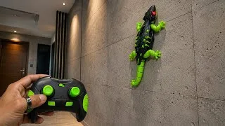 Thumbnail: I Tested the CRAZIEST RC LIZARD! 🦎🔥 It Climbs Walls! | Remote Control Lizard