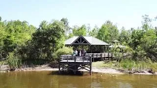 Thumbnail: [1080p] Drone Test Flight and GATOR SPOTTING!!