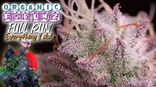 Thumbnail: EVERYTHING I DID FROM SEED TO HARVEST | DRY & CURE INCLUDED | ORGANIC FORUMZ GSC