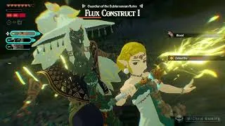 Thumbnail: I dont think Zelda need Link's Protection in Hyrule Warriors: Age of Imprisonment
