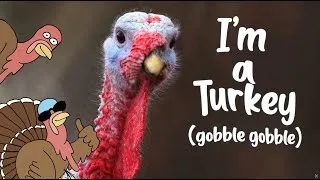 Thumbnail: I’m a Turkey 🦃 | Hip Hop for Birds | Mr. Elephant & De La Torre 
