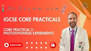 Thumbnail: IGCSE Core Practical 5 - Photosynthesis Experiments