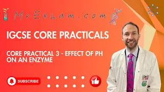 Thumbnail: IGCSE Core Practical 3 - Enzymes and pH