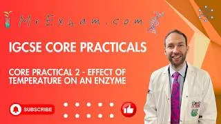Thumbnail: IGCSE Biology Core Practical 2  -  Effect of Temperature on an Enzyme