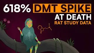 Thumbnail: Why Your Brain Floods with DMT at Death