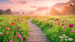 Thumbnail: (No Ads) Peaceful Spring Music • Gentle Melodies to Calm Your Soul & Refresh Your Mind
