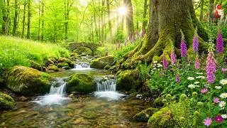 Thumbnail: (No Ads) Relaxing Music for Stress Relief 🌿 Quiet Your Mind & Enter a State of Deep Calm
