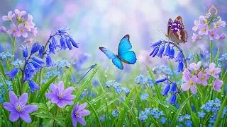 Thumbnail: (No Ads) Calm Your Mind 🍃 Healing Piano Music to Release Stress & Stop Overthinking