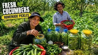 Thumbnail: Growing Cucumbers | Harvesting Cucumbers in Bulk from a Small Garden | Making Homemade Pickles