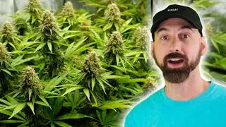 Thumbnail: Harvest Day Is Finally Here… Let’s See the Results