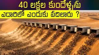 Thumbnail: China Released 40 Lakh Rabbits in a Desert… But WHY? | Hidden Reason | Mr Hari Facts